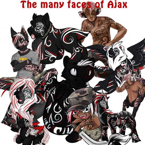 User Image